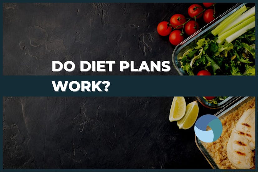 Photo of some prepared food of tomatoes, vegetables, chicken and lemon with the caption "do diet plans work?"
